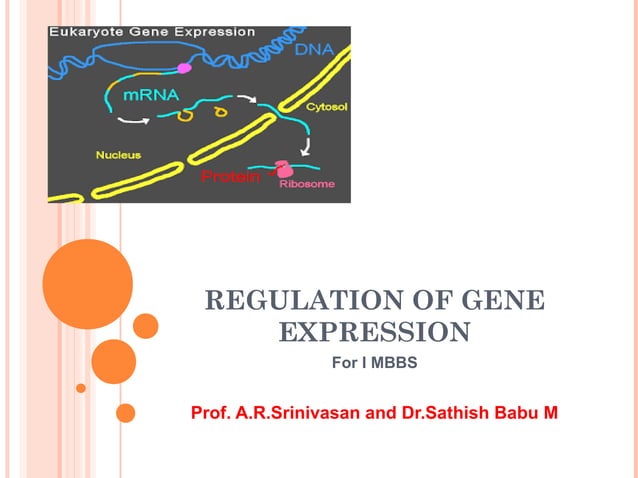 Regulation of gene expression (1).ppt ars | PPT