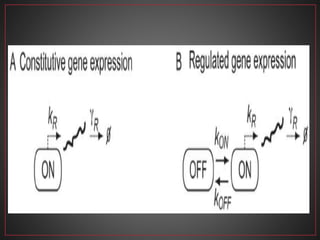 Regulation of gene expression 1 | PPTX