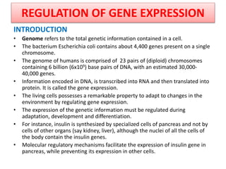 REGULATION OF GENE EXPRESSION
INTRODUCTION
• Genome refers to the total genetic information contained in a cell.
• The bacterium Escherichia coli contains about 4,400 genes present on a single
chromosome.
• The genome of humans is comprised of 23 pairs of (diploid) chromosomes
containing 6 billion (6x109) base pairs of DNA, with an estimated 30,000-
40,000 genes.
• Information encoded in DNA, is transcribed into RNA and then translated into
protein. It is called the gene expression.
• The living cells possesses a remarkable property to adapt to changes in the
environment by regulating gene expression.
• The expression of the genetic information must be regulated during
adaptation, development and differentiation.
• For instance, insulin is synthesized by specialized cells of pancreas and not by
cells of other organs (say kidney, liver), although the nuclei of all the cells of
the body contain the insulin genes.
• Molecular regulatory mechanisms facilitate the expression of insulin gene in
pancreas, while preventing its expression in other cells.
 