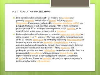 Regulation of gene expression in eukariyotic organisms | PPTX