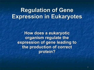 Regulation of Gene Expression in Eukaryotes How does a eukaryotic organism regulate the expression of gene leading to the production of correct protein? 