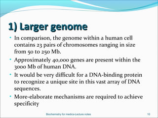 Regulation of gene expression in eukaryotes | PPT
