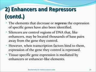 Regulation of gene expression in eukaryotes | PPT