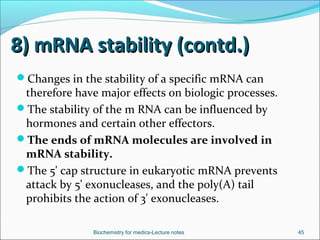 Mrna Stabilization Regulation of gene expression in eukaryotes | PPT