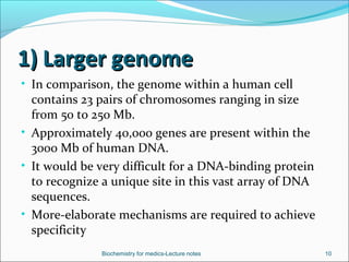 1) Larger genome1) Larger genome
• In comparison, the genome within a human cell
contains 23 pairs of chromosomes ranging ...