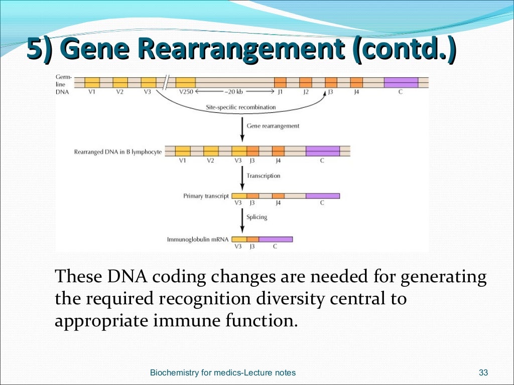 Regulation of gene expression in eukaryotes