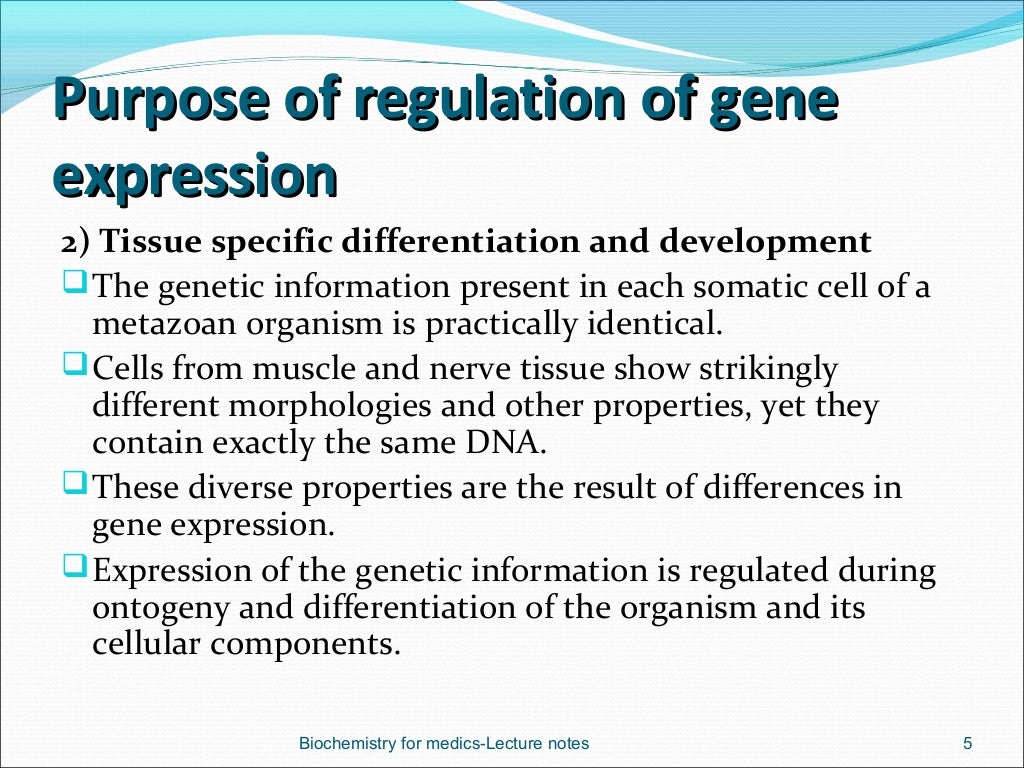 Regulation of gene expression in eukaryotes