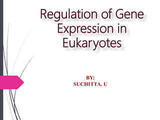 Regulation of Gene
Expression in
Eukaryotes
BY:
SUCHITTA. U
 