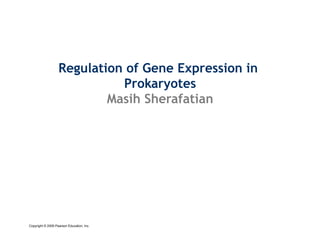 Regulation of Gene Expression in
                             Prokaryotes
                           Masih Sherafatian




                                       	

Copyright © 2009 Pearson Education, Inc.
 