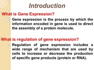 Regulation of gene expression in prokaryotes | PPTX