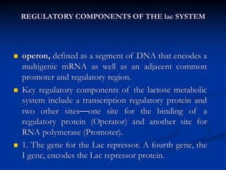 Regulation of gene expression in Prokaryotes (1).pdf