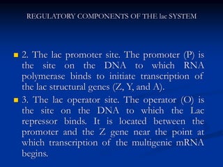 Regulation of gene expression in Prokaryotes (1).pdf