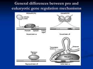 Regulation of gene expression in Prokaryotes (1).pdf