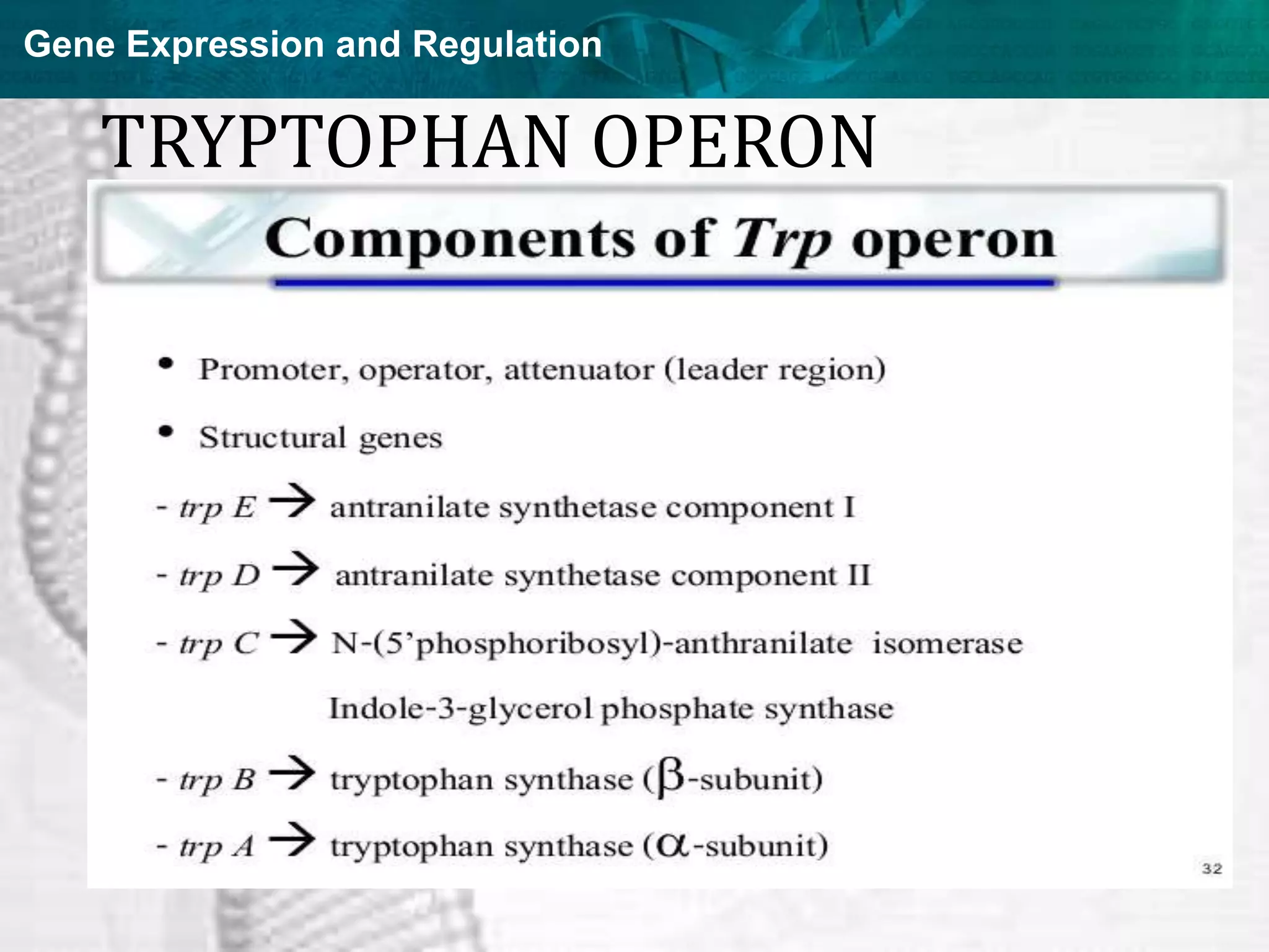 Gene Expression and Regulation
TRYPTOPHAN OPERON
• Discovered in 1953 by Jacques Monod and
colleagues, the trp operon in E. coli was the first
repressible operon to be discovered.
• This operon contains five structural genes: trp E, trp
D, trp C, trp B, and trp A, which encodes
tryptophan synthetase.
• It also contains a promoter which binds to RNA
polymerase and an operator which blocks
transcription when bound to the protein
synthesized by the repressor gene (trp R) that binds
to the operator
 