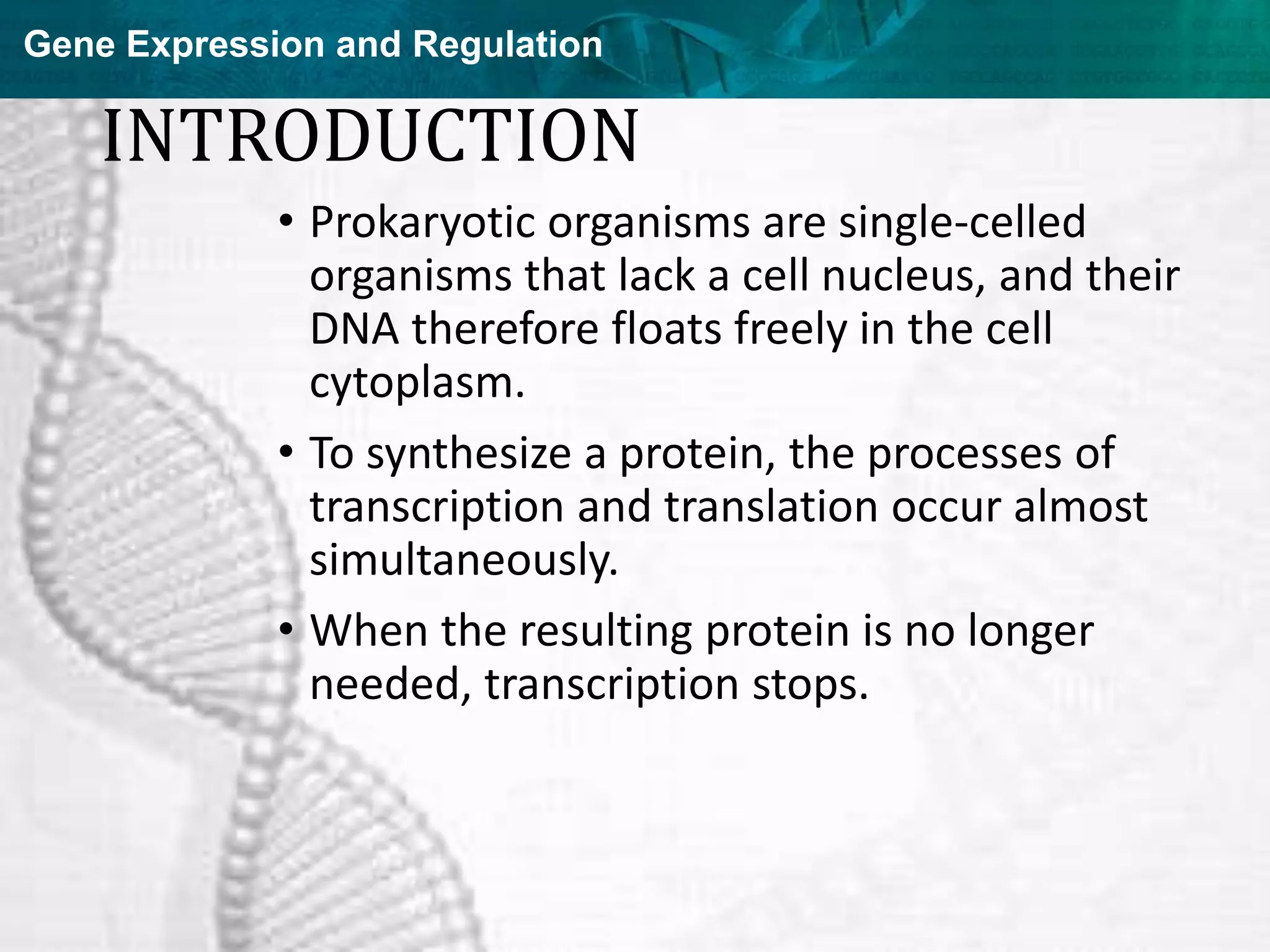 Gene Expression and Regulation
INTRODUCTION
• Prokaryotic organisms are single-celled
organisms that lack a cell nucleus, and their
DNA therefore floats freely in the cell
cytoplasm.
• To synthesize a protein, the processes of
transcription and translation occur almost
simultaneously.
• When the resulting protein is no longer
needed, transcription stops.
 