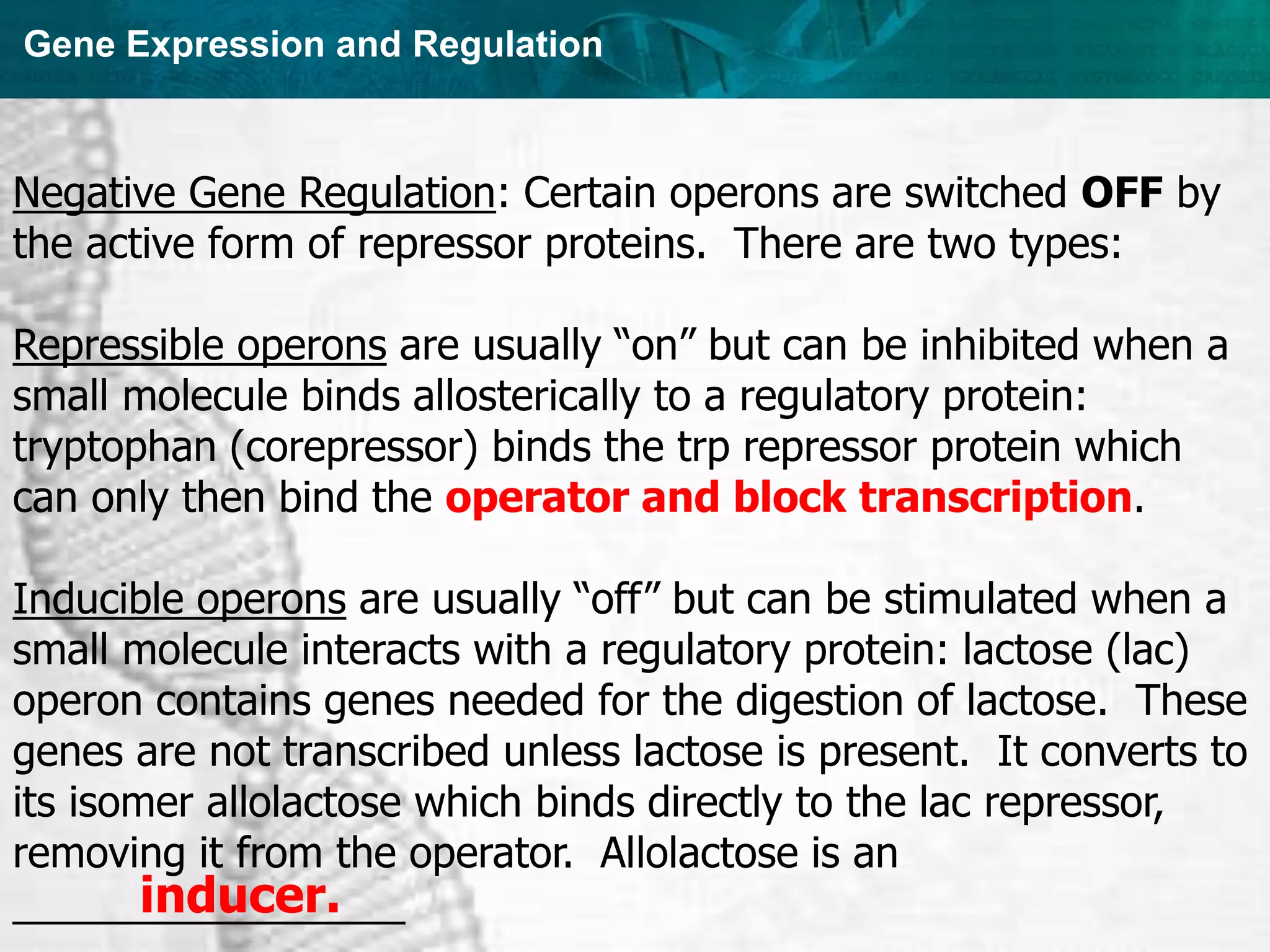 Gene Expression and Regulation
Negative Gene Regulation: Certain operons are switched OFF by
the active form of repressor proteins. There are two types:
Repressible operons are usually “on” but can be inhibited when a
small molecule binds allosterically to a regulatory protein:
tryptophan (corepressor) binds the trp repressor protein which
can only then bind the operator and block transcription.
Inducible operons are usually “off” but can be stimulated when a
small molecule interacts with a regulatory protein: lactose (lac)
operon contains genes needed for the digestion of lactose. These
genes are not transcribed unless lactose is present. It converts to
its isomer allolactose which binds directly to the lac repressor,
removing it from the operator. Allolactose is an
_________________
inducer.
 