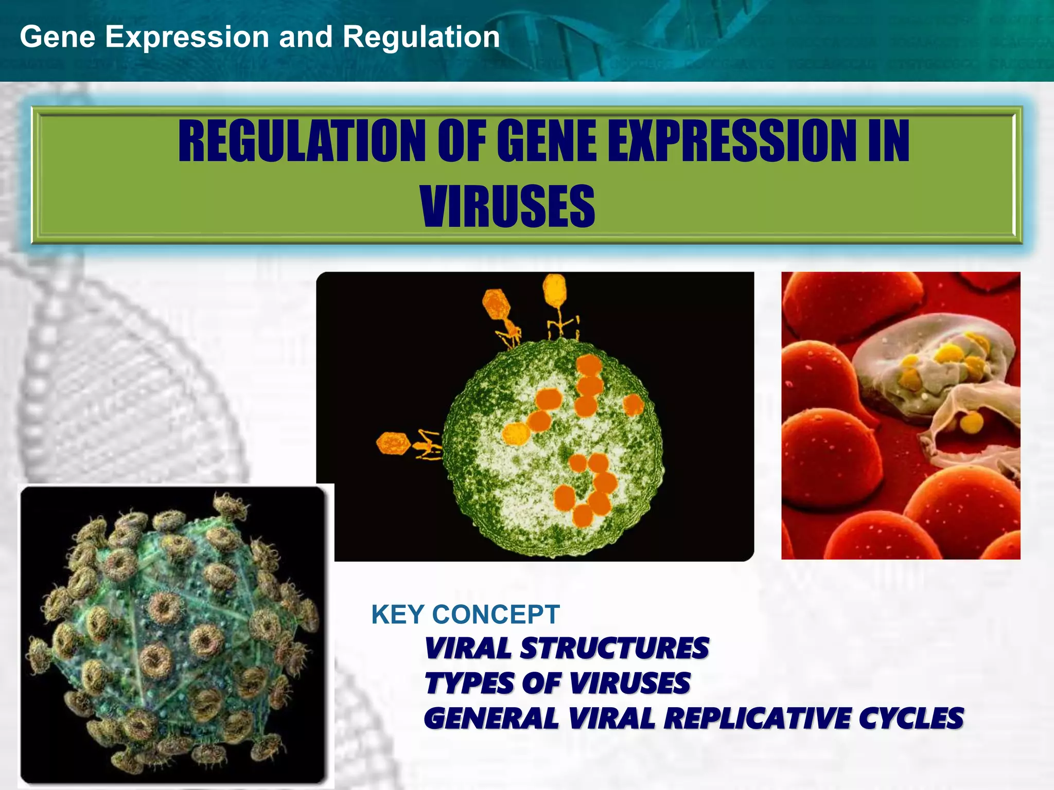 Gene Expression and Regulation
REGULATION OF GENE EXPRESSION IN
VIRUSES
KEY CONCEPT
VIRAL STRUCTURES
TYPES OF VIRUSES
GENERAL VIRAL REPLICATIVE CYCLES
 