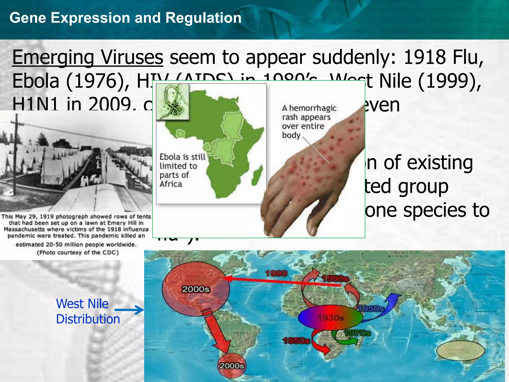 Gene Expression and Regulation
Emerging Viruses seem to appear suddenly: 1918 Flu,
Ebola (1976), HIV (AIDS) in 1980’s, West Nile (1999),
H1N1 in 2009, can cause epidemics, or even
pandemics.
“New” epidemics are caused by: mutation of existing
viruses, dissemination from a small isolated group
(globalization, drug use…), spread from one species to
another (“swine flu”).
West Nile
Distribution
 
