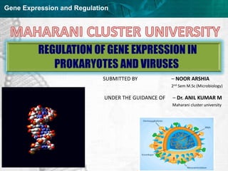 Gene Expression and Regulation
SUBMITTED BY – NOOR ARSHIA
2nd Sem M.Sc (Microbiology)
UNDER THE GUIDANCE OF – Dr. ANIL KUMAR M
Maharani cluster university
REGULATION OF GENE EXPRESSION IN
PROKARYOTES AND VIRUSES
 