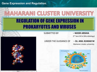 Regulation of gene expression in prokaryotes and viruses | PPT