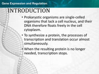 Regulation of gene expression in prokaryotes and viruses | PPT