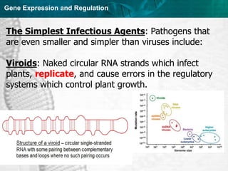 Regulation of gene expression in prokaryotes and viruses | PPT