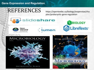 Regulation of gene expression in prokaryotes and viruses | PPT