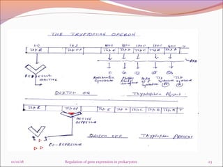 Regulation of gene expression in prokaryotes final | PPT