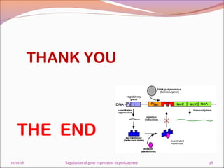 Regulation of gene expression in prokaryotes final | PPT