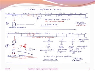 Regulation of gene expression in prokaryotes final | PPT