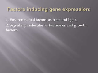 Regulation of Gene Expression ppt | PPTX