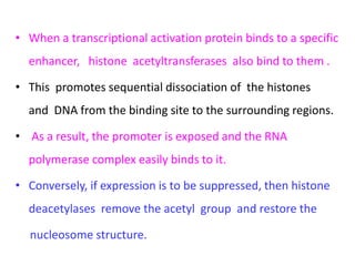Regulation of gene expression ppt (1) | PPTX