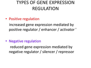 Regulation of gene expression ppt (1) | PPTX