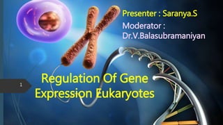 Regulation Of Gene
Expression Eukaryotes
Presenter : Saranya.S
Moderator :
Dr.V.Balasubramaniyan
1
 