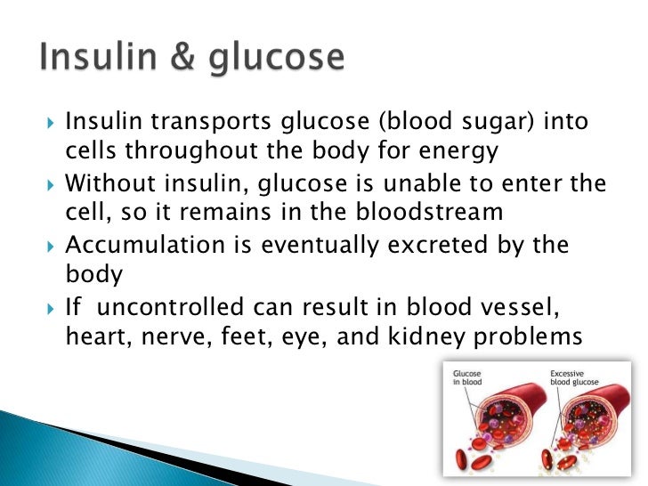 Regulation of glucose during exercise