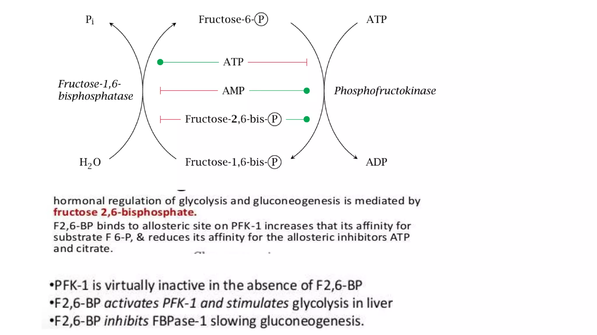 Regulation of glycolysis and gluconeogenesis | PPTX