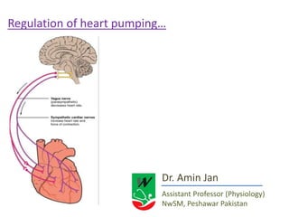 Dr. Amin Jan
Assistant Professor (Physiology)
NwSM, Peshawar Pakistan
Regulation of heart pumping…
 