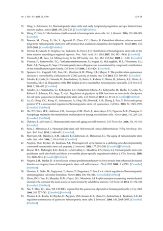 Regulation of Hematopoietic Stem Cell Fate and Malignancy During Aging ...