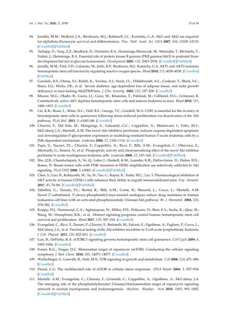 Regulation of Hematopoietic Stem Cell Fate and Malignancy During Aging ...