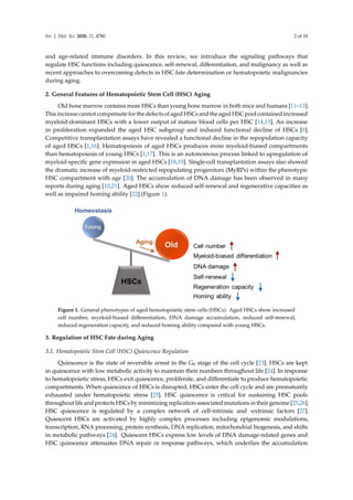 Regulation of Hematopoietic Stem Cell Fate and Malignancy During Aging ...