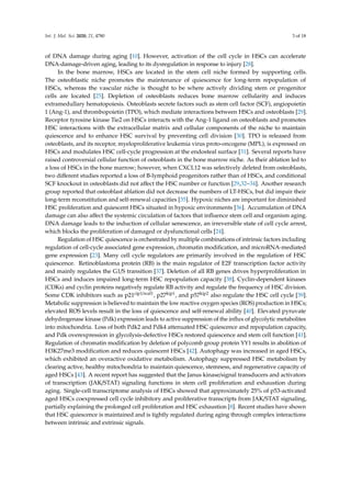 Regulation of Hematopoietic Stem Cell Fate and Malignancy During Aging ...