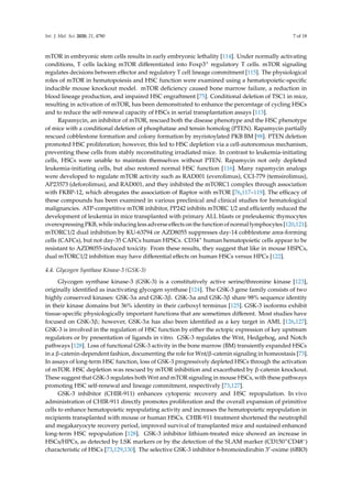 Regulation of Hematopoietic Stem Cell Fate and Malignancy During Aging ...