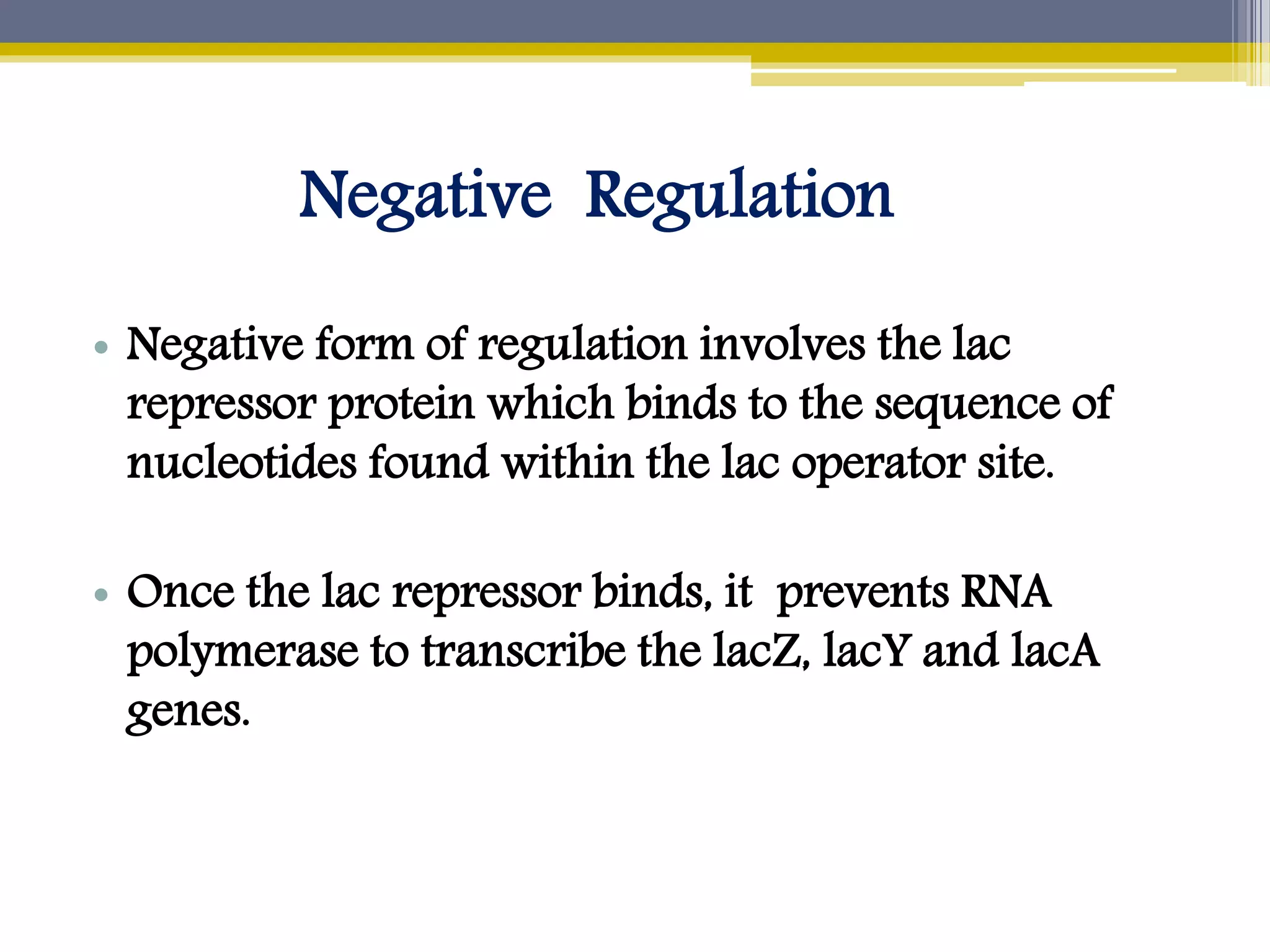 Regulation of lac operon positive nd negative | PPTX