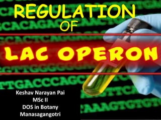 Keshav Narayan Pai
MSc II
DOS in Botany
Manasagangotri
REGULATION
OF
 