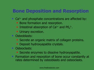 Regulation Of Metabolism | PPT