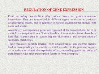 REGULATION OF METABOLISM IN PLANTS AND THE DIFFERENT MECHANISMS | PDF