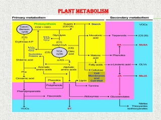 REGULATION OF METABOLISM IN PLANTS AND THE DIFFERENT MECHANISMS | PDF