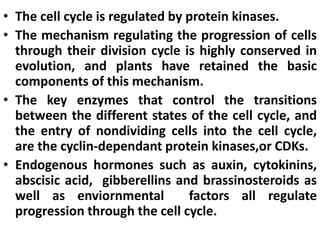 Regulation of mitotic cell cycle in eukaryotes | PPTX