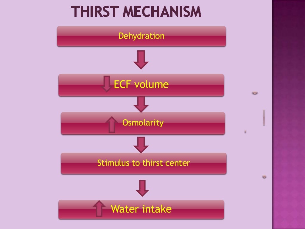Regulation of osmolarity
