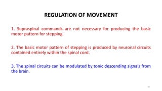 Supraspinal Modulation REGULATION OF POSTURE.pptx